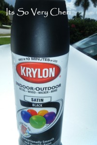 Krylon