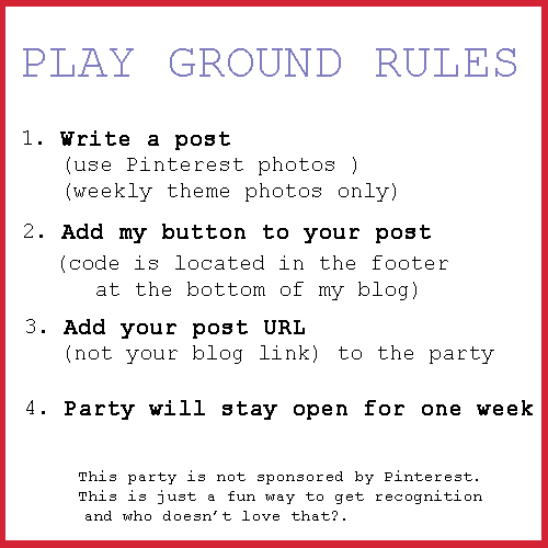 PINdreaming-PLAYGROUND-RULE