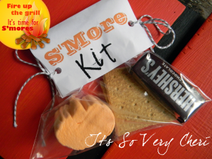 S'mores-Kit-b