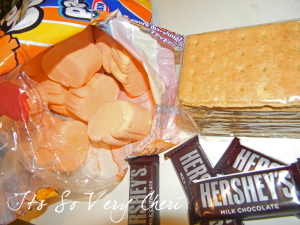 S'mores-Kit1a