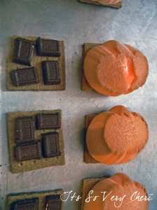 S'mores-Kit1b