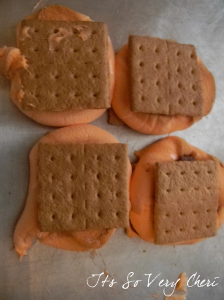 S'mores-Kit1d