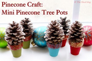 pinecone trees